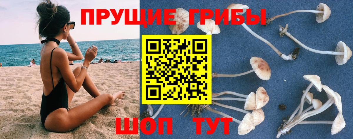 Галлюциногенные грибы Psilocybine cubensis  Вход с VPN  Чита 